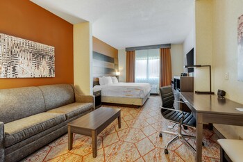 Standard Room, 1 King Bed, Non Smoking, Refrigerator & Microwave (with Sofabed)