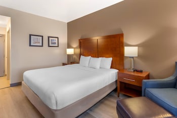 Standard Room, 1 King Bed, Non Smoking