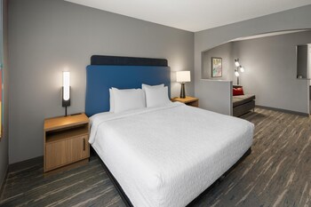 Room, 1 King Bed, Accessible (Roll in Shower)