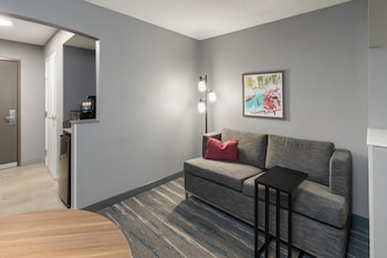 Room, 1 King Bed, Accessible, Bathtub