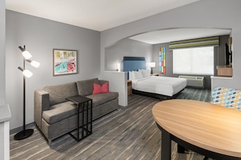 Room, 1 King Bed, Accessible, Bathtub