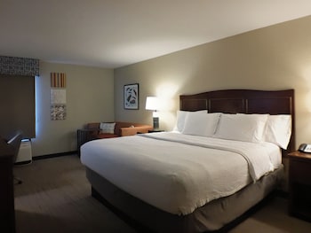 Room, 1 King Bed with Sofa bed