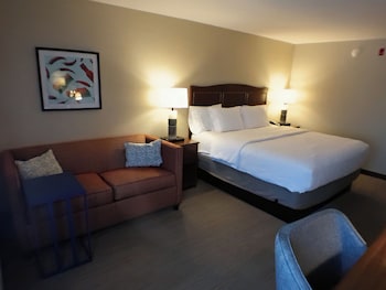 Room, 1 King Bed with Sofa bed