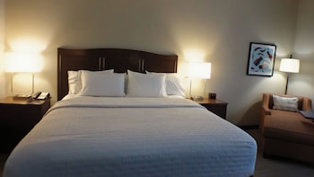 Room, 1 King Bed, Mobility Accessible