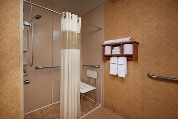 Standard Room, 1 King Bed, Roll-in Shower