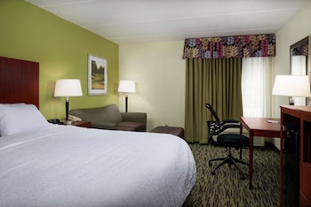 Room, 1 King Bed
