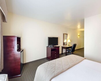 Suite, 1 King Bed with Sofa bed, Non Smoking
