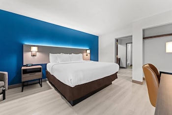 Suite, 1 King Bed with Sofa bed, Non Smoking