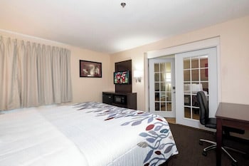 Suite, 1 King Bed (Smoke Free)