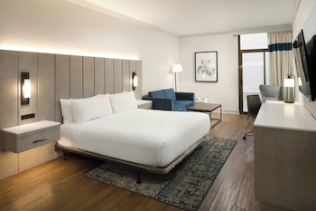 Room, 1 King Bed, Hearing Accessible